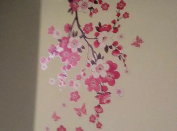 Casetta Orsola * San Vitale